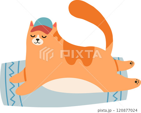 Cartoon illustration featuring a cute orange cat wearing a cap, peacefully sleeping on a small rug, set against a clean white background, radiating comfort and coziness 120877024