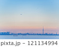 【千葉県】海ほたるPAから眺める東京方面　行き交う船、飛行機、東京スカイツリー遠望 121134994