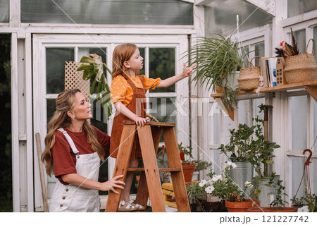 Woman mother and two red-haired daughter girls care and plant plants in pots in a greenhouse, doing gardening in the spring for Earth Day. 121227742