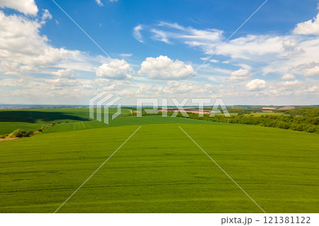 Aerial landscape view of green cultivated agricultural fields with growing crops on bright summer day. 121381122