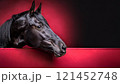 Beautiful black horse in a barn, generative ai 121452748