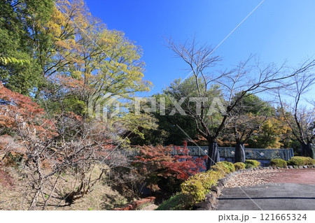 栃木県佐野市の佐野城址の風景 121665324