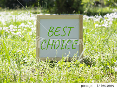 Best choice symbol. Best choice white chalk blackboard. Beautiful meadow background. Business and Best choice concept. Copy space. 121603669