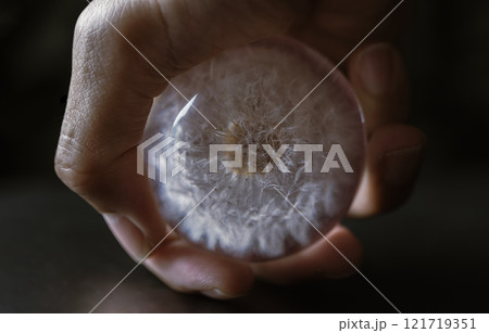 Gorgeous handmade glass dandelion paperweight in human hand with dark background. 121719351