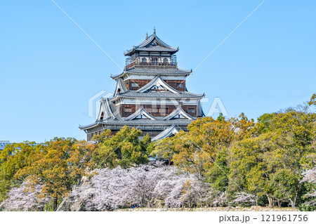 広島県広島市　人気の観光スポット　満開の桜と広島城天守 121961756