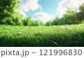 Bright green grass under a blue sky with fluffy clouds in a serene natural landscape 121996830