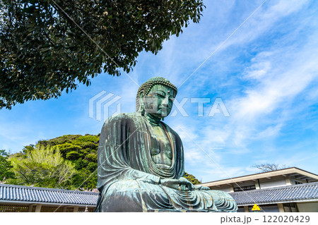 【神奈川県】爽やかな青空と鎌倉の大仏 122020429