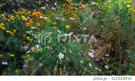 Summer landscape background with many beautiful flowers. Multicolored flowering summer meadow with Zinnia, Marigold, Cosmos, Black Eyed Susan, Midwest wildflower field. 122028914