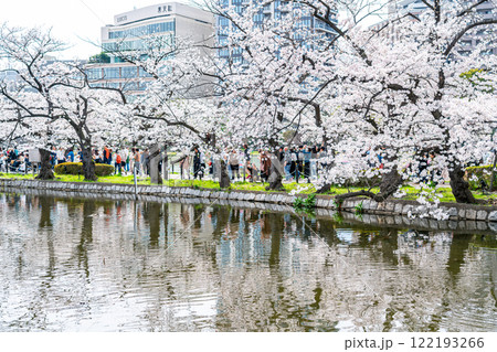 【東京都】上野恩賜公園の不忍池に咲く満開の桜 122193266