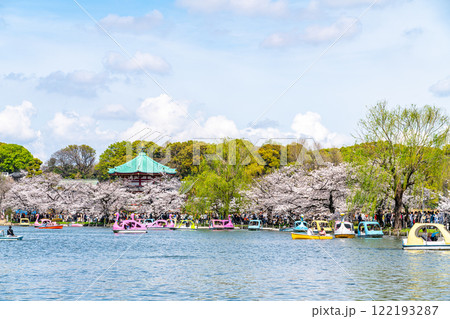 【東京都】上野恩賜公園の不忍池に咲く満開の桜 122193287