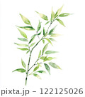 Watercolor style depiction of bamboo branch with vibrant green leaves, showcasing nature beauty and tranquility 122125026