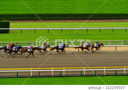 競馬　東京競馬場 122254507