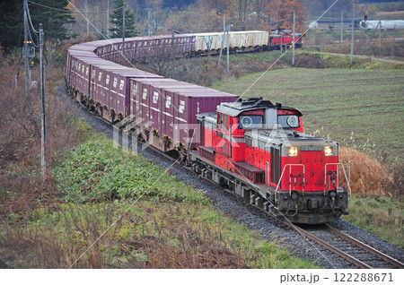 石北本線　瀬戸瀬－遠軽　JR貨物　DD51-1089+コキ＋DD51-1150（鷲別）　石北貨物 122288671