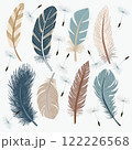 Collection Illustration of various of bird feathers 122226568