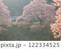 山にかかる桜 122334525