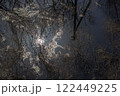 Reflection of a winter forest in calm water. Tree branches covered in hoarfrost create a complex pattern on the surface of the water, while the sun's glare adds brightness and contrast. 122449225