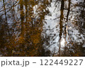 Reflection of trees in a puddle in the forest. You can see the reflection of trees in the water, as well as the bottom of the puddle covered with grass and moss.  122449227