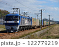 山陽本線を走るEF210-101コンテナ貨物列車 122779219