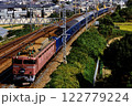 2006年　東海道本線を走るEF81101ブルートレイン日本海4号 122779224