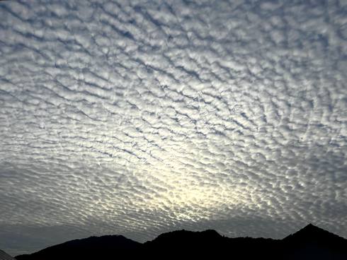 春も「うろこ雲」雨が近づくサイン