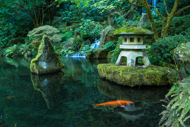 【超簡単な日本庭園の楽しみ方ガイド】三大様式「池庭（池泉式庭園）・枯山水・露地庭（茶庭）」とは？