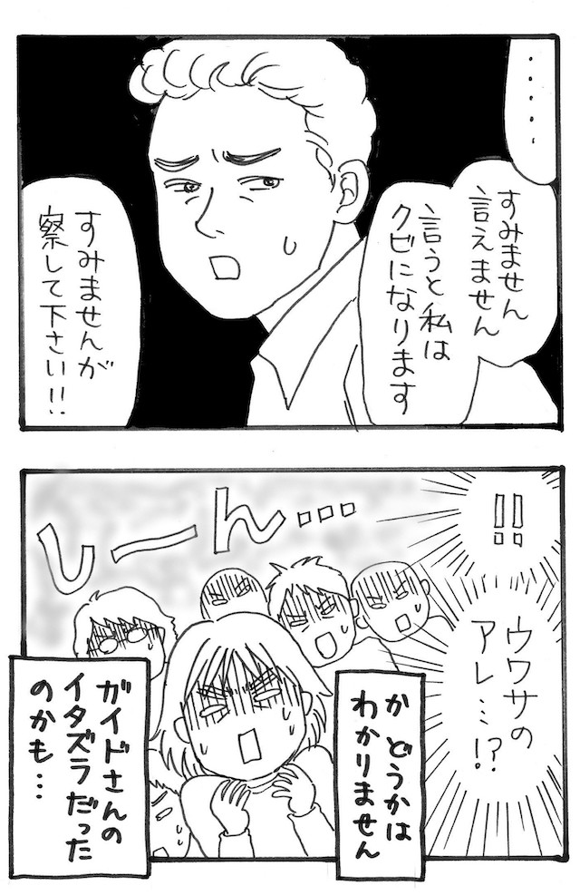 現地人ガイドさん「・・・・・すみません　言えません　言うと私はクビになります　すみませんが察してください！！」　！！　ウワサのアレ・・・！？　かどうかはわかりません　乗客全員「しーん・・・」ガイドさんのイタズラだったのかも・・・