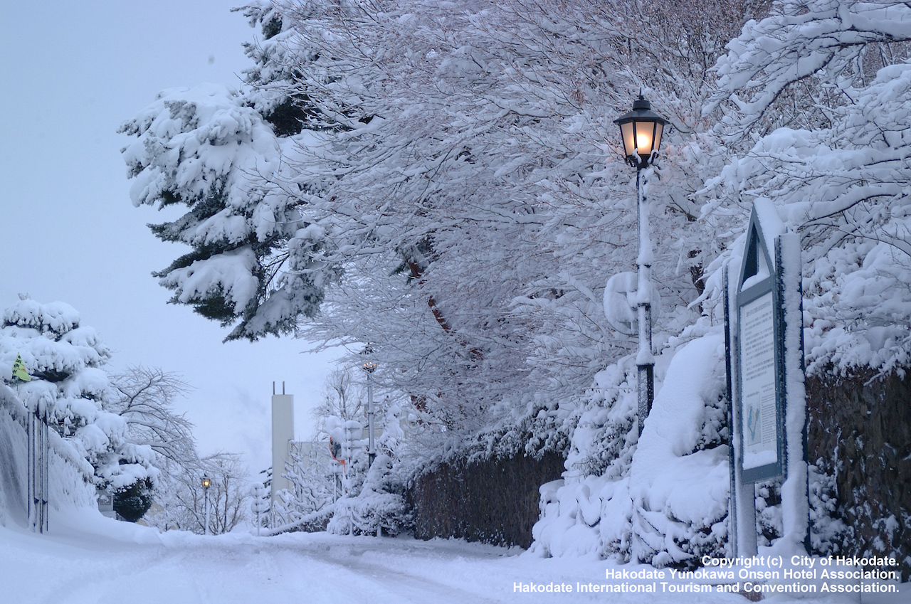 【日本の冬絶景】異国情緒の漂う港町函館　北海道の雪景色　