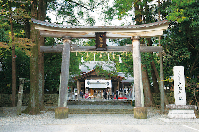 土佐神社