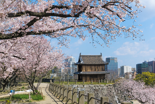 福岡県福岡市中央区舞鶴公園