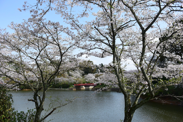 福岡県朝倉市甘木公園