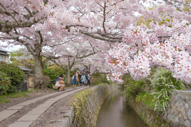 京都府京都市哲学の道