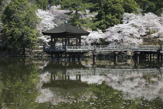 奈良県奈良市奈良公園