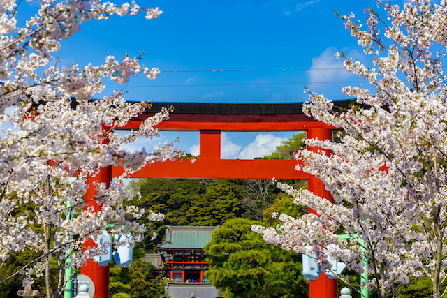 神奈川県鎌倉市鶴岡八幡宮