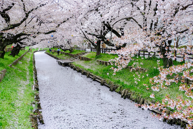 埼玉県川越市新河岸川