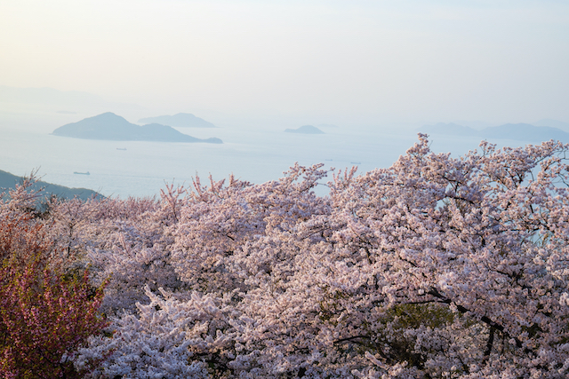 香川県三豊市紫雲出山