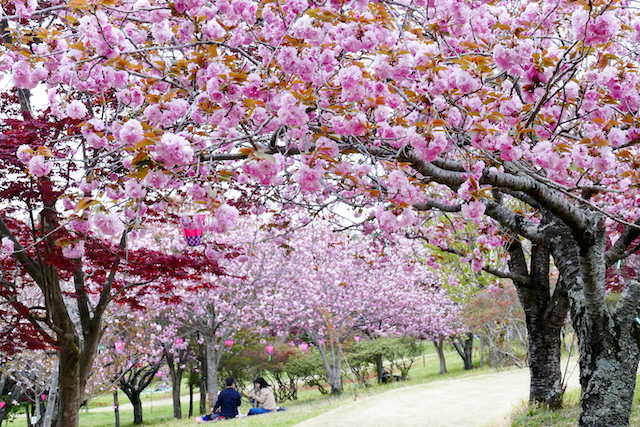 茨城県那珂市静峰ふるさと公園