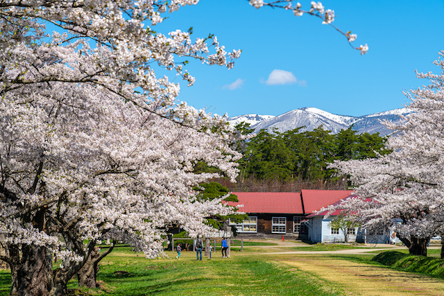 岩手県雫石町小岩井農場