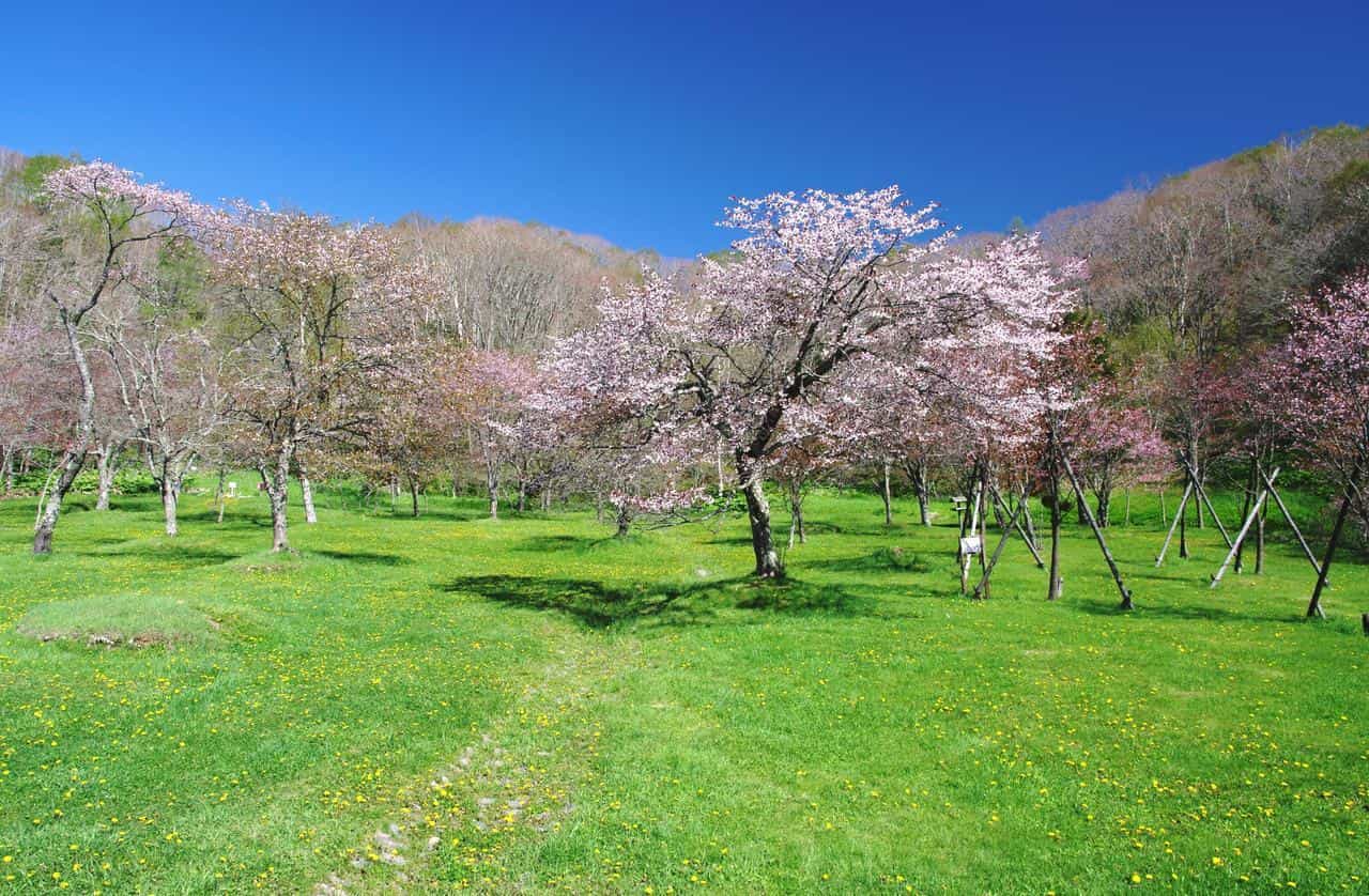 別保公園（釧路町）