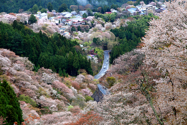 奈良県