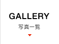 GALLERY 写真一覧