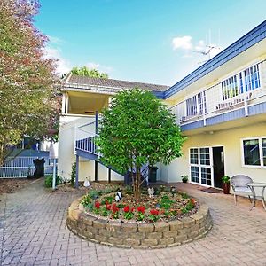 Anglesea Motel Hamilton Exterior photo