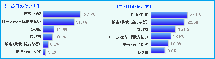 今回のボーナスの使い道