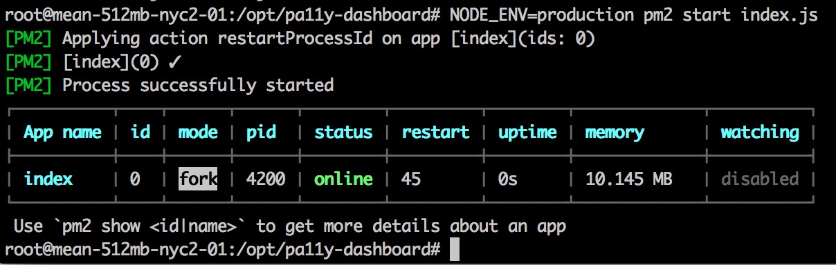 pm2 terminal
