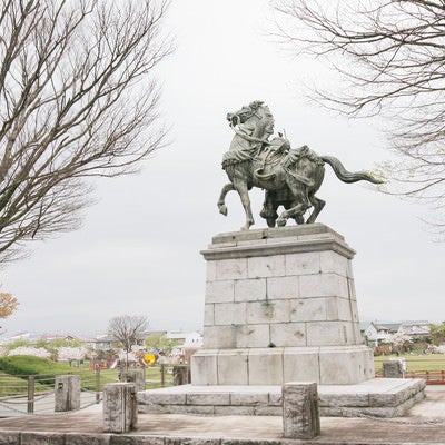 菊池武光像と大刀洗公園の桜の写真