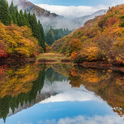 紅葉が映り込むため池の写真