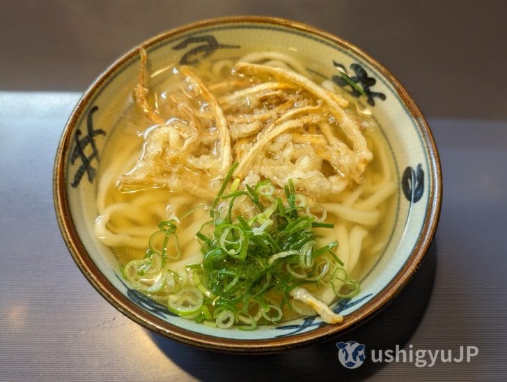 まことうどんのごぼう天うどん