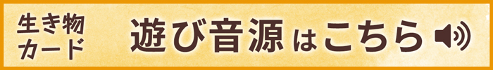 生き物カード 遊び音源はこちら