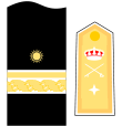 Divisa de general de bridaga (Cuerpo de Intendencia de la Armada)