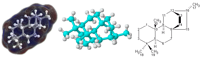 Figura 1. Representaciones de la terpenoide, atisano, 3D (centro izquierda) y 2D (derecha). En el modelo 3D de la izquierda, los átomos de carbono están representados por esferas azules; las blancas representan a los átomos de hidrógeno y los cilindros representan los enlaces. El modelo es una representación de la superficies molecular, coloreada por áreas de carga eléctrica positiva (rojo) o negativa (azul). En el modelo 3D del centro, las esferas azul claro representan átomos de carbono, las blancas de hidrógeno y los cilindros entre los átomos son los enlaces simples.