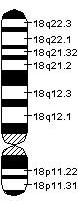 genska mapa hromozoma 18